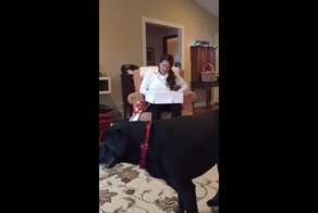 Парень сделал предложение руки и сердца с помощью рождественского подарка