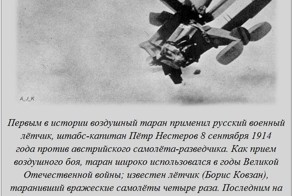 Интересные факты о разном