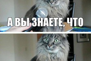 А вы знаете что до нового года осталось 5 дней?
