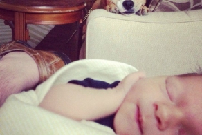 18 подарков, которые ваша собака дарит вам каждый день