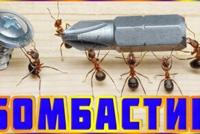 Убивать неверных?