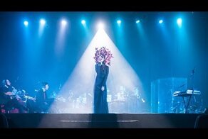 Детский хор и симфонический оркестр. Мурашки по всему телу и слезы