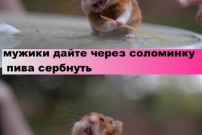 Смешные картинки