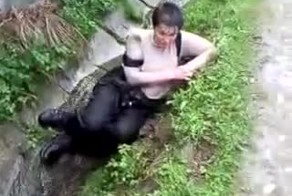 Подборка роликов от 16.11.2012