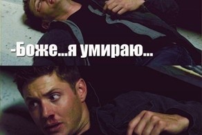 Весёлые картинки