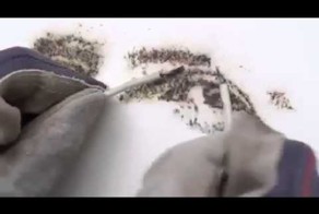 Электричество в искусстве