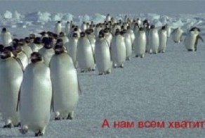 В очереди за любовью