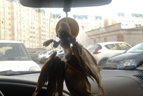 Новая вонючка для авто