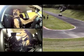 Езда на автомобиле