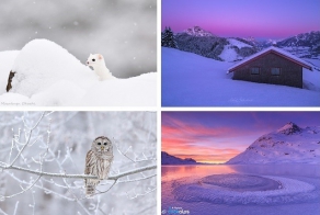 20 лучших фотографий недели