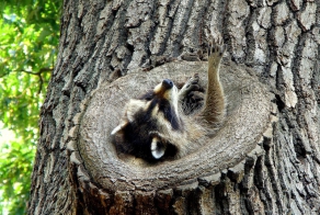16 жизненных закономерностей