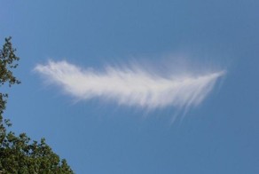 Сказка про волшебное перышко