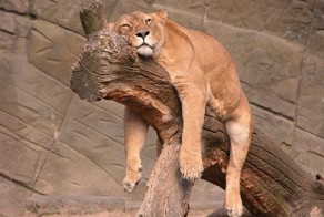 13 вещей, о которых нужно помнить, когда жизнь бьет вас по голове