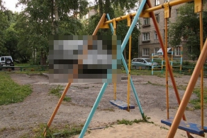 Суровые  детские площадки