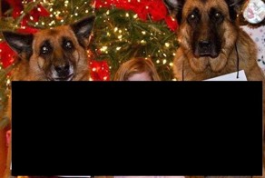 Вселенская безнадёга