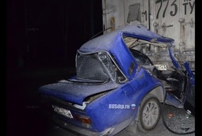 Новогодний выпуск! Подводим итоги!