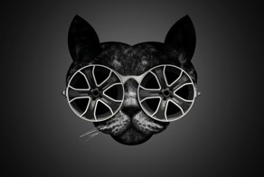 Котовторник