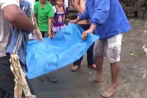 Последствия встречи с пираньями