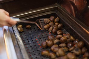 Как продавцы жареных каштанов переживают санкции, дождь и во