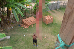 Интересная дубинка на Мадагаскаре