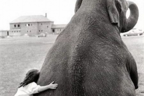 Что такое дружба