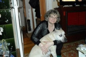 В Калининграде питбуль схватил уличного грабителя