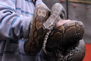 О пользе и вреде алкогольных возлияний