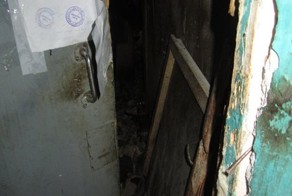 Больше 20 кошек выловили в квартире