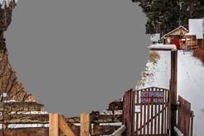 К нему не зарастет, народная тропа