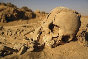 А ведь сахара была когда то зеленой