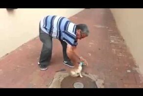 Помог котику