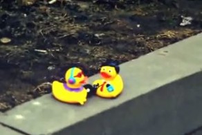 Подборка роликов от 15.05.2013