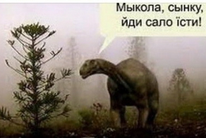 Что написано в украинских учебниках , и Украино-Иранская война )