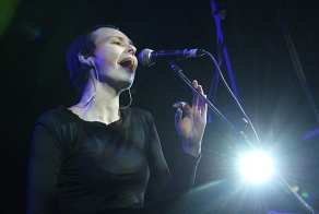 Охота за Чичереной и Паниным