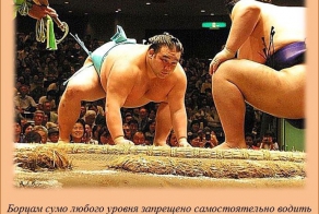 Обо всём понемножку : интересные факты в картинках