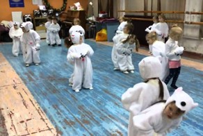 Маленькие пушистые танцующие чуда. Милее не придумаешь!