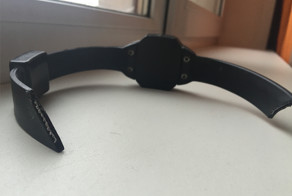 Условный Навальный