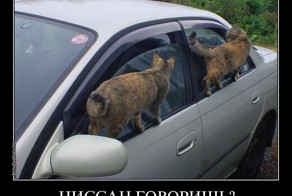 Личная коллекция демотиваторов