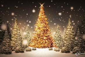 С Рождеством Христовым! 