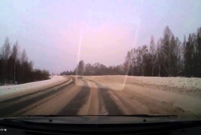 Кошка сбежала с места ДТП