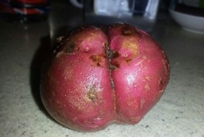  Интересная картошка