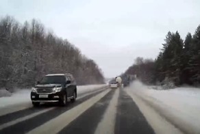 Зимний обочечник