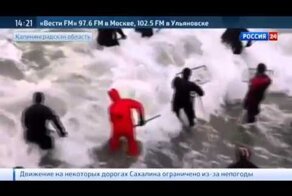 Рождественское чудо: балтийское побережье засыпало янтарем