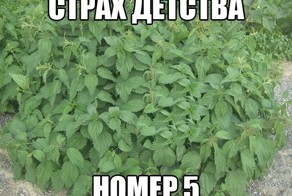 Вещи,которых все боялись в детстве