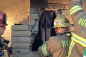 Обнаженная женщина застряла в дымоходе камина