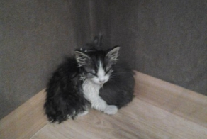 Не смогли расстаться