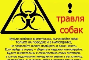 День убийства собак