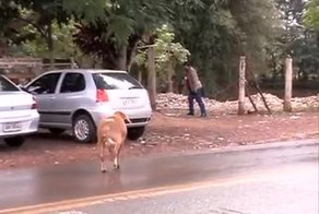 Подборка роликов от 27.05.2013
