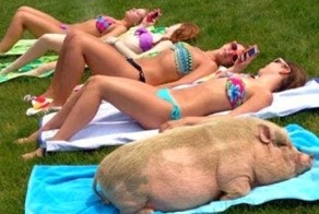 Девочки загорают