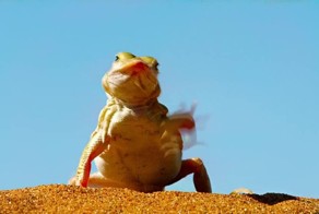 Послепраздничные кубики